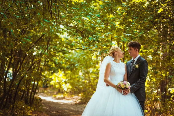 Novia y novio en el fondo del bosque — Foto de Stock