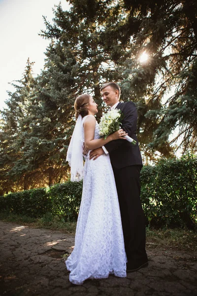 Pareja novia y novio en un parque fondo — Foto de Stock