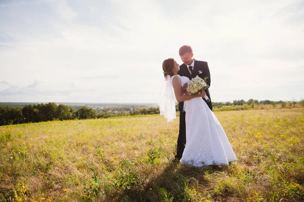 Couple bride and groom on field background — Stock Photo, Image