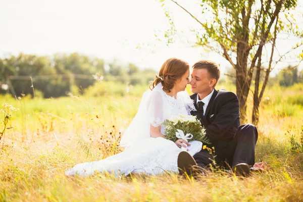 Pareja novia y novio en campo fondo —  Fotos de Stock