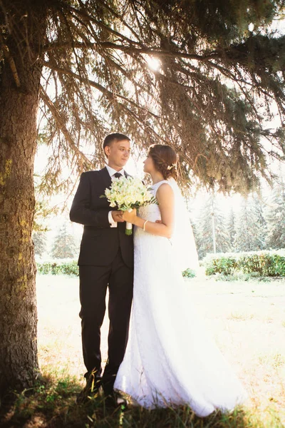 Couple mariée et marié sur un fond de parc — Photo