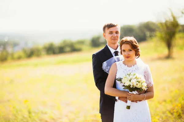 Brautpaar auf dem Feld — Stockfoto