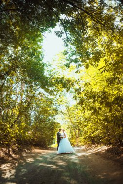 Gelin ve damat orman arka planında