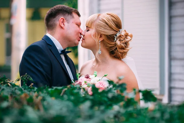 Novia y novio en el fondo de la valla del jardín — Foto de Stock