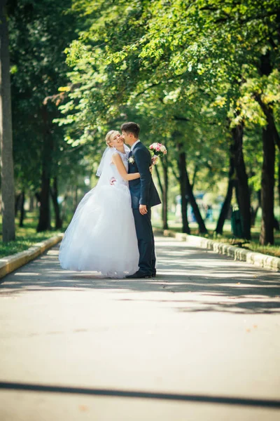 The bride and groom on the background of the park alley — Stock Photo, Image