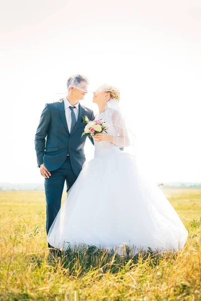 Bruden og brudgommen i bakgrunnen av åkeren – stockfoto
