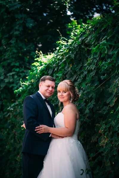 Mariée et marié sur le fond de la clôture de jardin — Photo