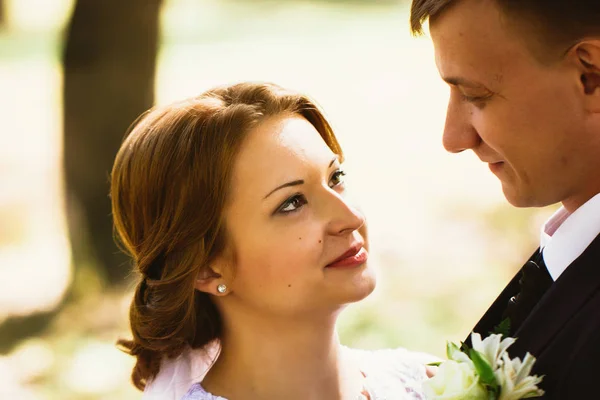 Retrato de una pareja de novios en el fondo del parque — Foto de Stock