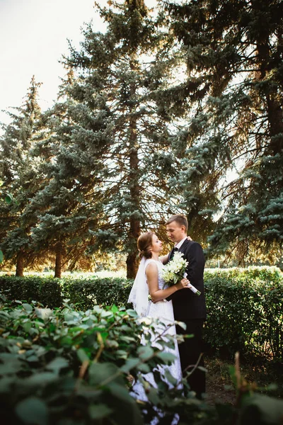 Pareja novia y novio en un parque fondo —  Fotos de Stock