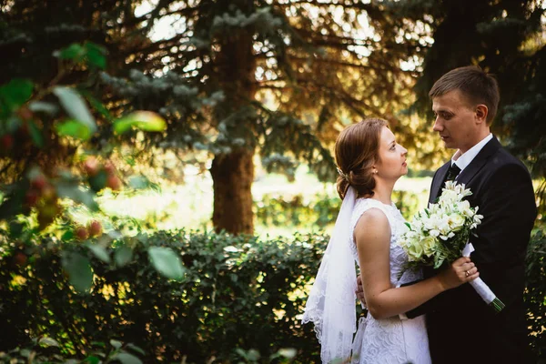 Pareja novia y novio en un parque fondo — Foto de Stock