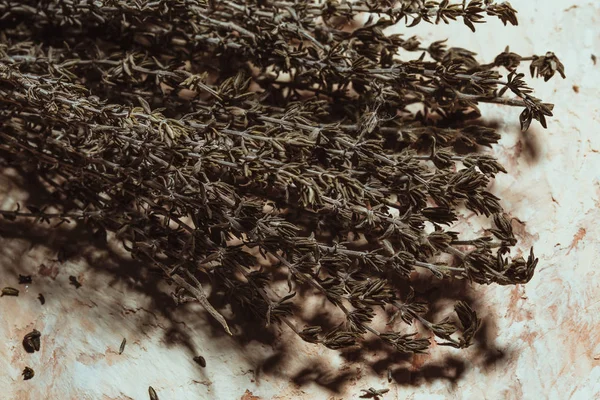 Bundle of thyme sprigs on a textural background — Stock Photo, Image