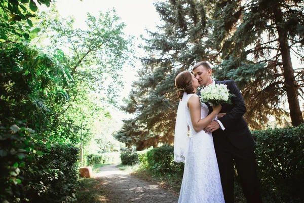 Пара наречена і наречений на фоні парку — стокове фото