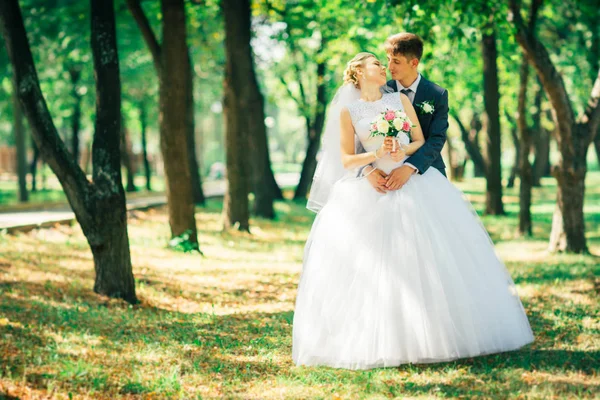 La novia y el novio en el fondo del callejón del parque — Foto de Stock