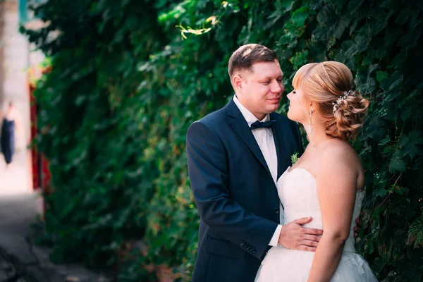 Bruden och brudgummen på bakgrunden av trädgårdsstaketet — Stockfoto