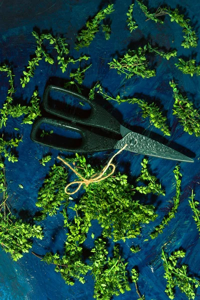 Λεμόνι θυμάρι και ψαλίδι σε αφηρημένο μπλε φόντο — Φωτογραφία Αρχείου