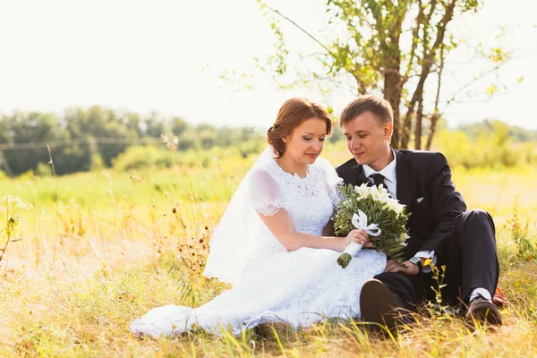 Couple bride and groom on field background — Stock Photo, Image