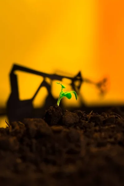 Fiatal zöld növény a talajban háttér olaj hintagép — Stock Fotó