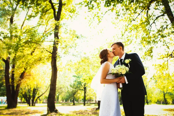 Coppia sposa e sposo su uno sfondo parco — Foto Stock