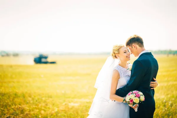 A noiva e o noivo no fundo do campo — Fotografia de Stock