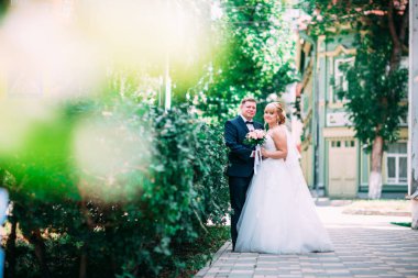 Gelin ve damat Bahçe Çiti arka plan üzerinde