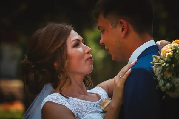 Pareja novio y novia abrazos y besos en la naturaleza parque fondo —  Fotos de Stock