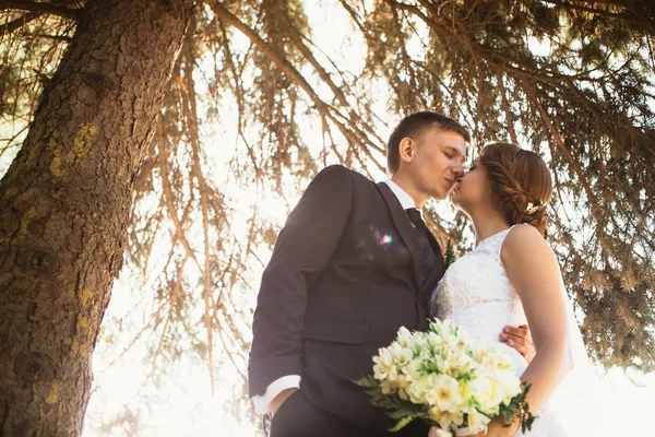 Retrato de una pareja de novios en el fondo del parque —  Fotos de Stock