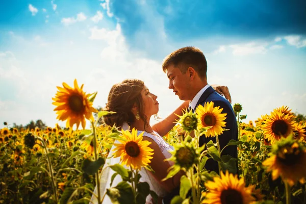 Bruden och brudgummen mot bakgrund av ett fält av solrosor — Stockfoto