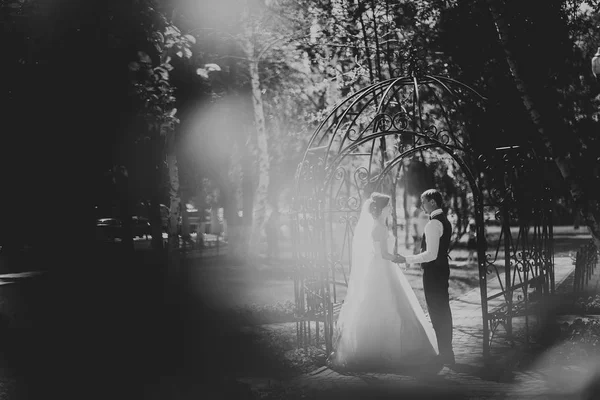 La novia y el novio en el arco del parque — Foto de Stock