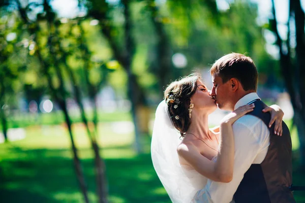 Bruden och brudgummen i bakgrunden av parken. — Stockfoto