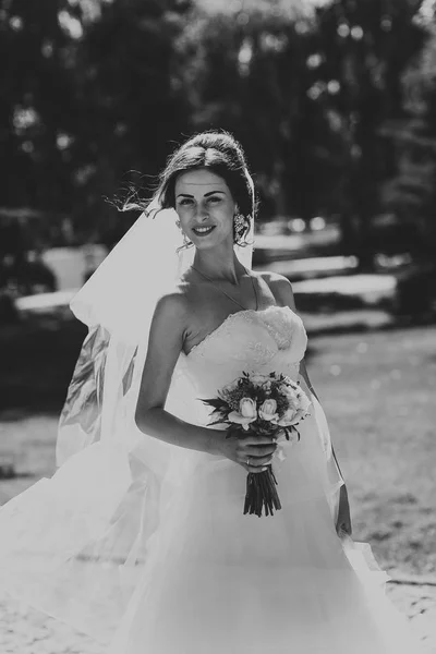 La bella sposa bruna in una passeggiata nel parco — Foto Stock