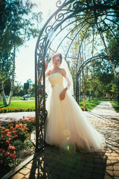 公園の展望台に立つ若い美しい花嫁. — ストック写真
