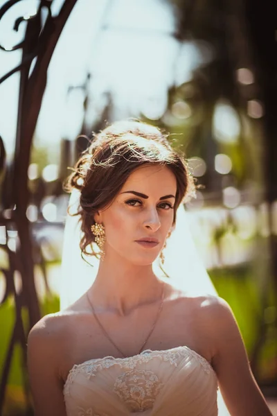 La belle mariée brune sur une promenade dans le parc — Photo