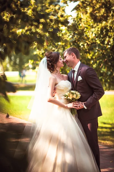 Jeune couple marié et la mariée sur le fond du parc . — Photo