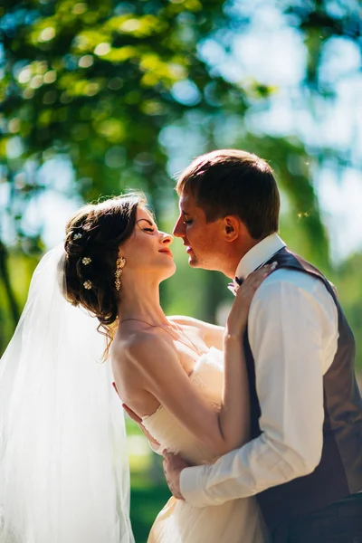 Bruden och brudgummen i bakgrunden av parken. — Stockfoto