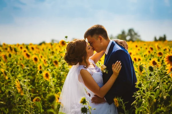 Bride and groom against the background of a field of sunflowers — Stock Photo, Image