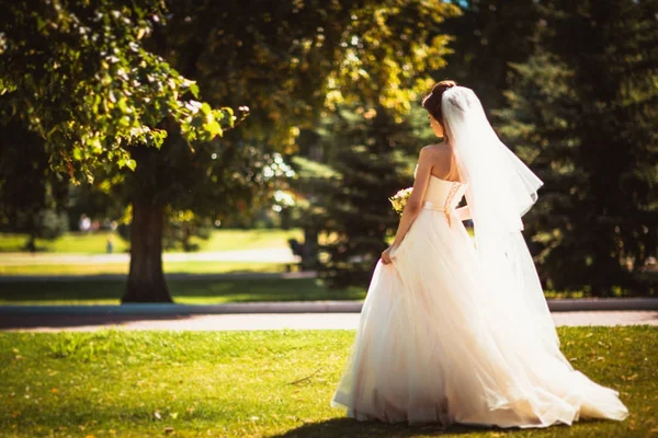 公園を散歩中の美しいブルネットの花嫁 — ストック写真