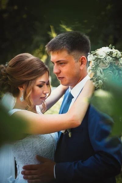 Paar bruidegom en bruid knuffelen en kussen op natuur park achtergrond — Stockfoto