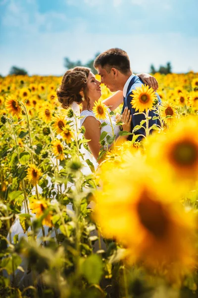 Bride and groom against the background of a field of sunflowers — Stock Photo, Image