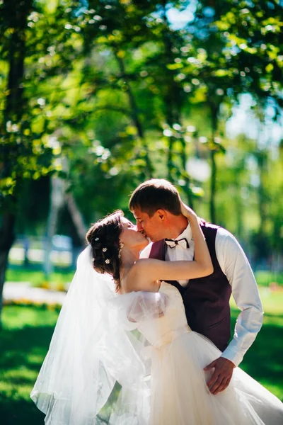 The bride and groom in the background of the park. — Stock Photo, Image