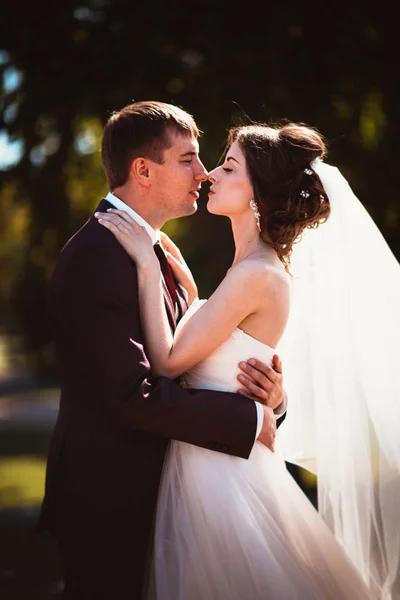 Jeune couple marié et la mariée sur le fond du parc . — Photo