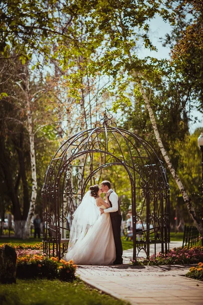 The bride and groom in the park arch — Stock Photo, Image