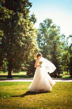 Parkta yürüyen güzel esmer gelin.