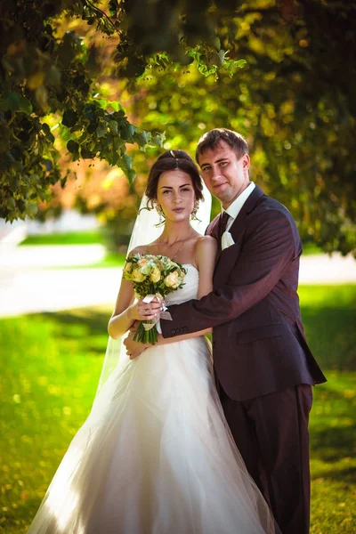 Молода пара наречена і наречена на фоні парку . — стокове фото