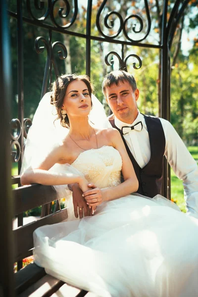 Невеста и жених в беседке в парке — стоковое фото