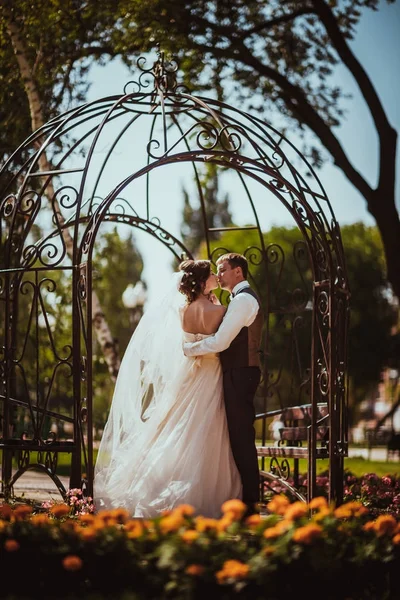 Η νύφη και ο γαμπρός στην αψίδα του πάρκου — Φωτογραφία Αρχείου