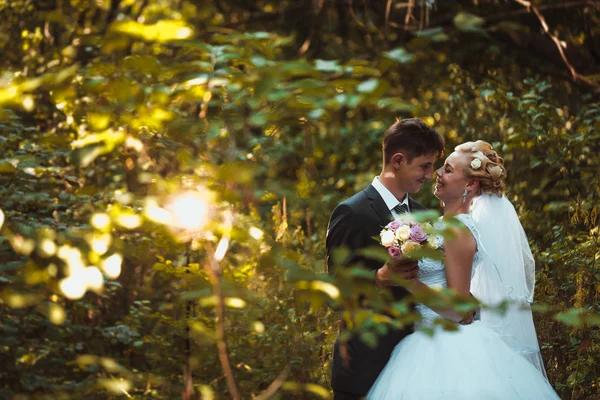 Noiva e noivo no fundo da floresta — Fotografia de Stock