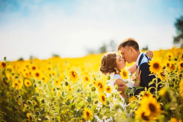 Bruden och brudgummen mot bakgrund av ett fält av solrosor — Stockfoto