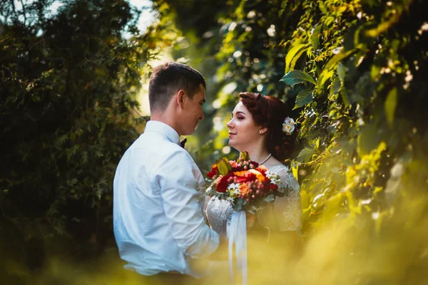 A noiva e o noivo na folhagem das árvores — Fotografia de Stock