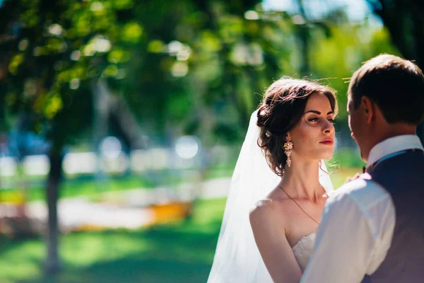 公園の背景にある花嫁と新郎. — ストック写真