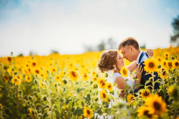 Bride and groom against the background of a field of sunflowers — Stock Photo, Image